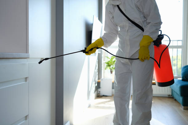 Best Toxic Mold Removal  in Central City, PA